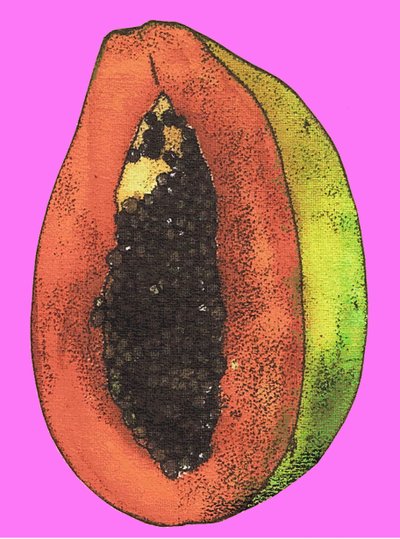 Papaya, 2009 by Sarah Thompson Engels